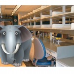 elephant elephant in the room