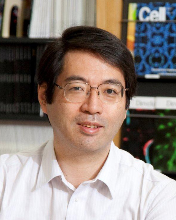 Yoshiki_Sasai_circa_2012.jpg