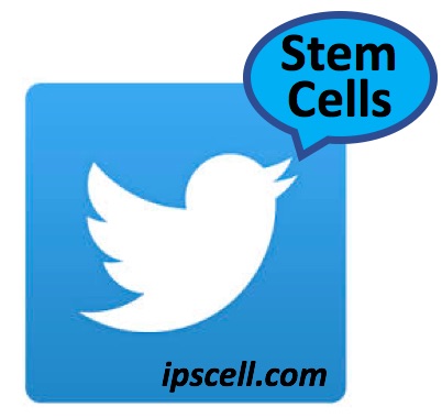 stem cells on Twitter, top-stem-cell-influencers-Twitter