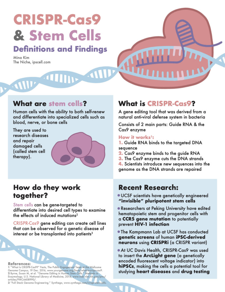 CRISPR infographic stem cells