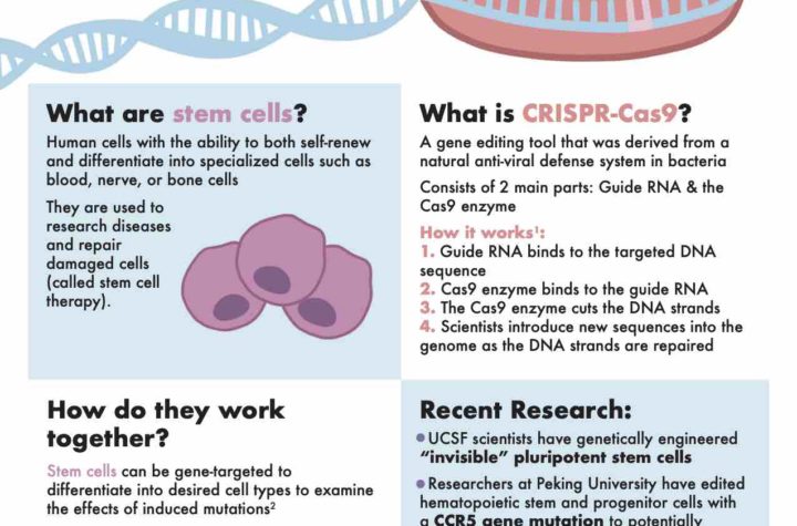 CRISPR-infographic-stem-cells_small