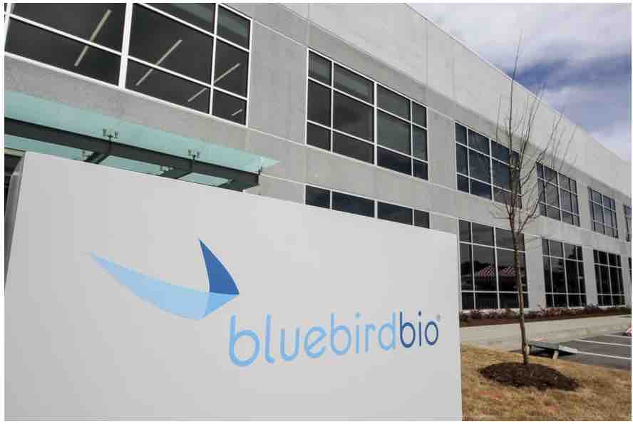 bluebird bio, sickle cell gene therapy