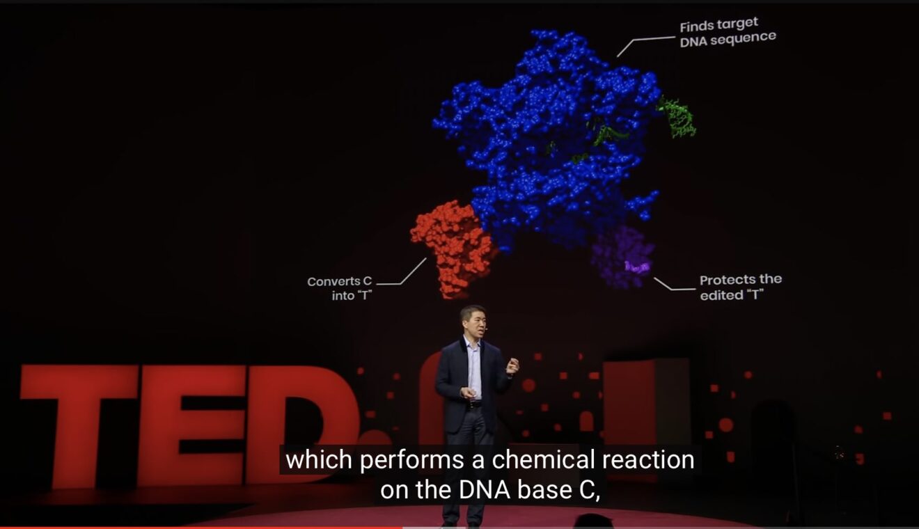 David Liu, human CRISPR