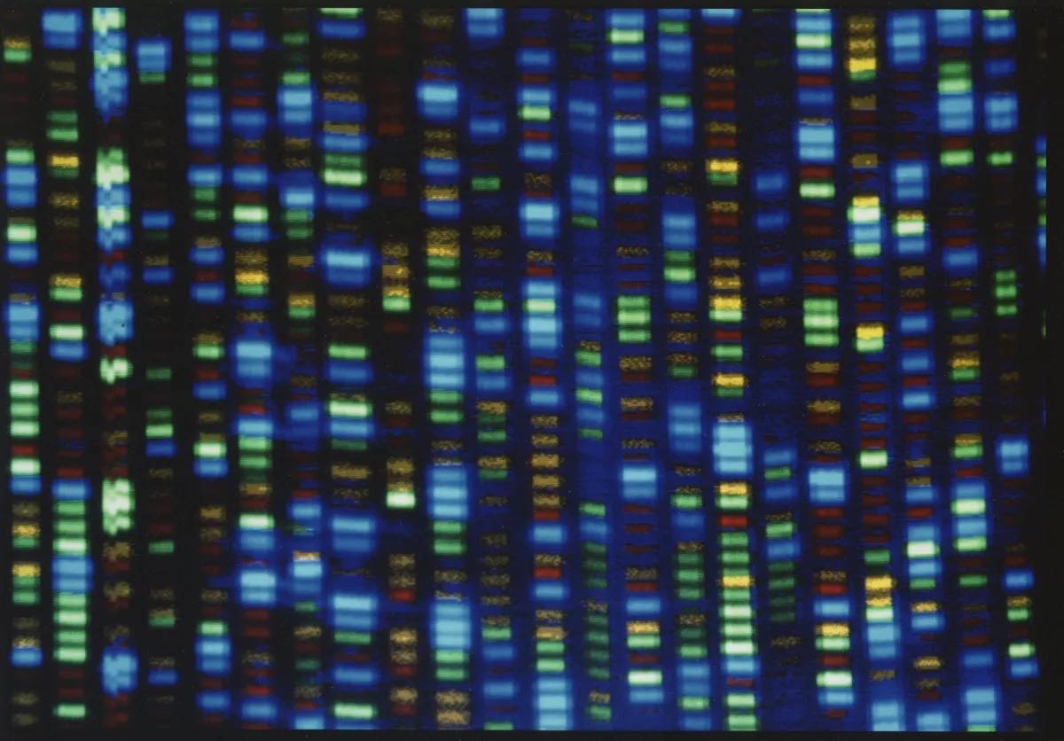 Human genome sequencing
